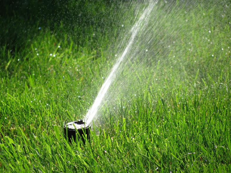 Evergreen Lawn Sprinkler System