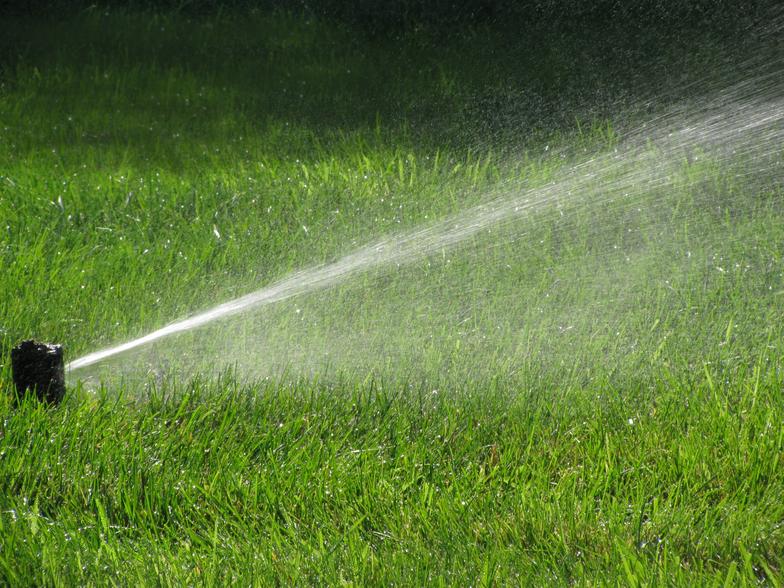 Evergreen Lawn Sprinkler System