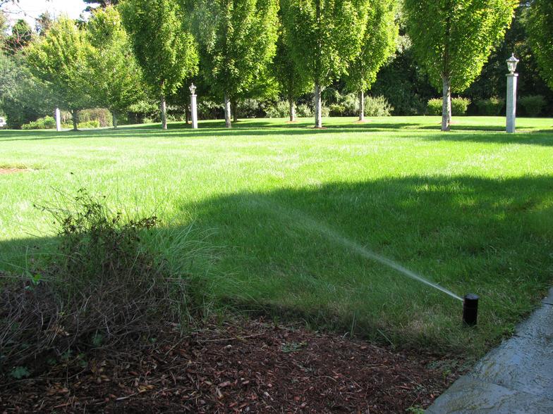 Evergreen Lawn Sprinkler System